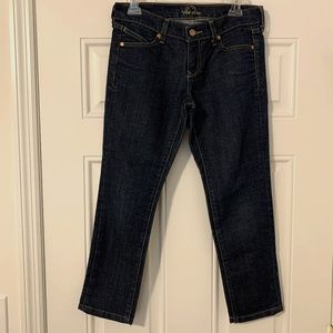 Old Navy "The Diva" Straight Jeans 2 Short